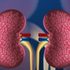 Kidney function test