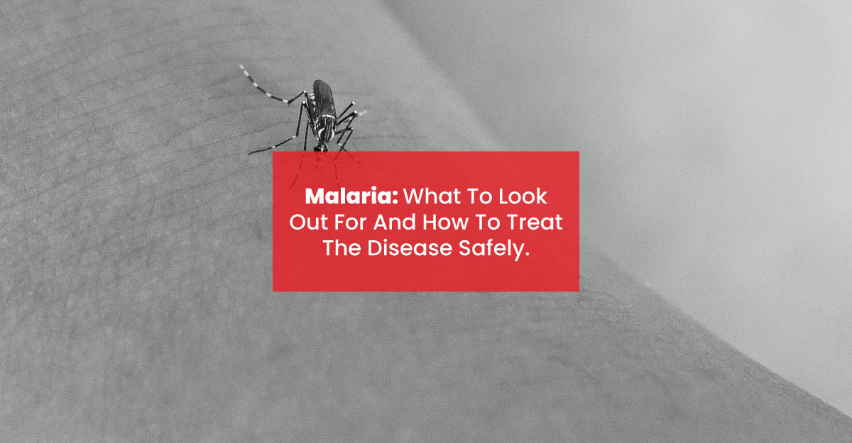 How to treat malaria